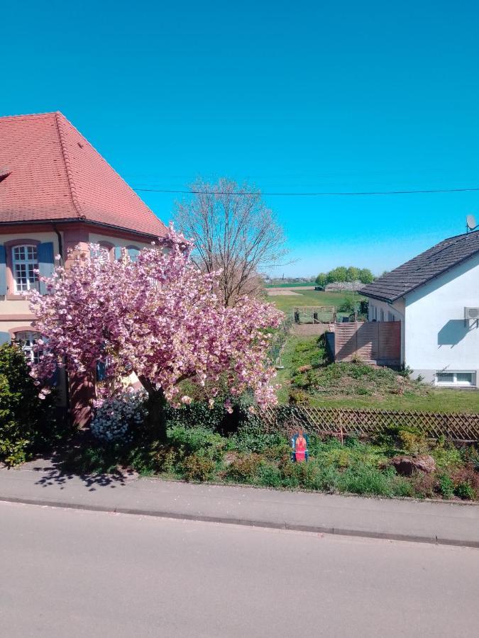 Gaestehaus Brunhilde Wittenweier Екстериор снимка